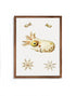 framed coastal wall art